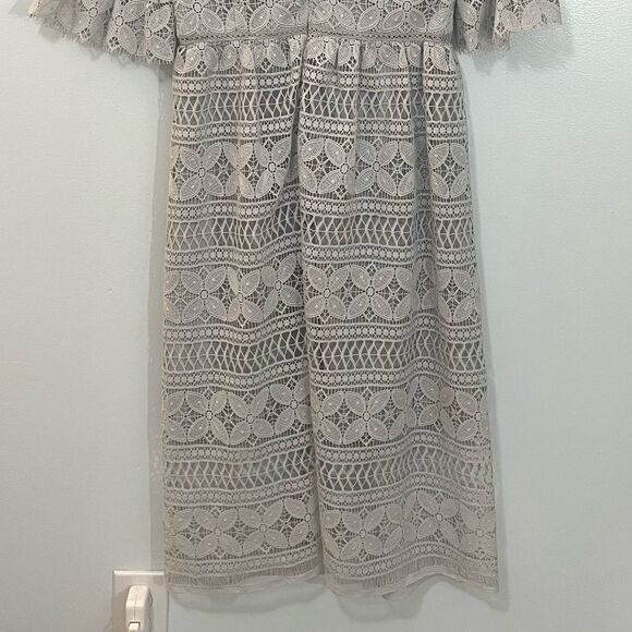 NWT ASOS True Decadence Gray Lace Peter Pan Collar Midi Dress Formal 10 TALL - Picture 7 of 12